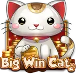 Big Win Cat game icon